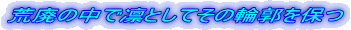 rp̒řzƂĂ̗֊sۂ